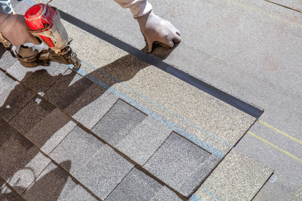 Best Roof Gutter Cleaning  in Benavides, TX